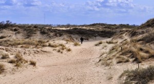 la panne dunes -voyagesremi